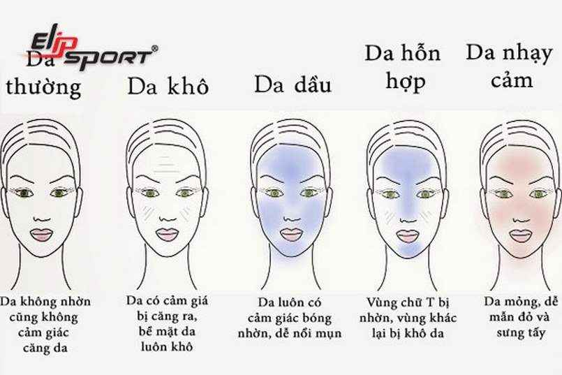 Các loại da thường gặp