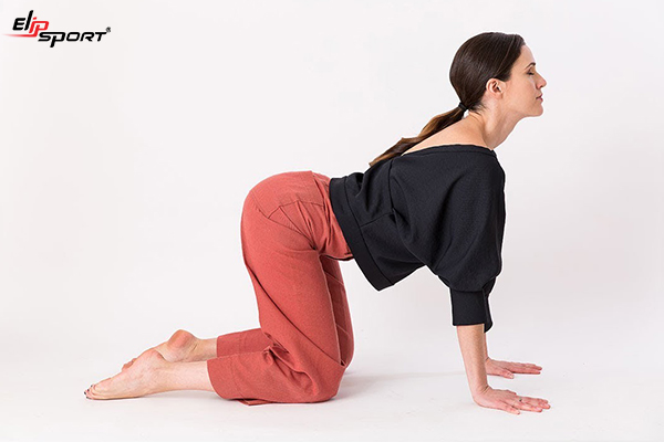 bài tập yoga của master kamal