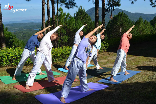sivananda yoga là gì