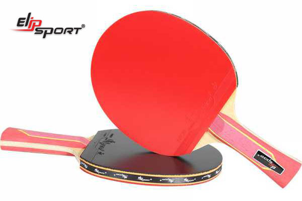 vợt bóng bàn bán chạy nhất - ELIP Strong Power