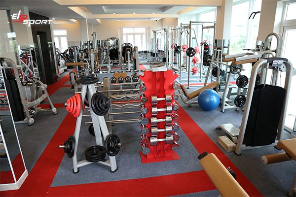 Dụng cụ máy tập gym, thể hình tại TP.Long Xuyên An Giang