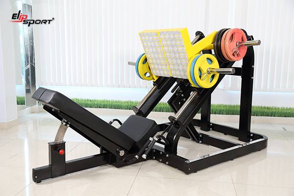 Dụng cụ máy tập gym, thể hình tại Phú Nhuận