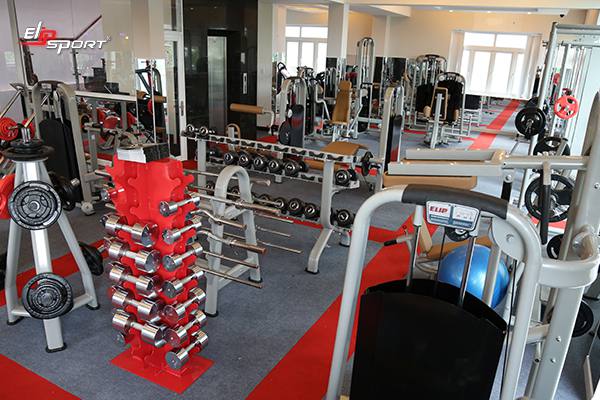 Dụng cụ máy tập gym, thể hình tại Quận 12 - TP. HCM