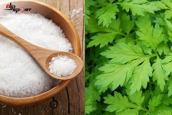 chữa gai cột sống bằng ngải cứu