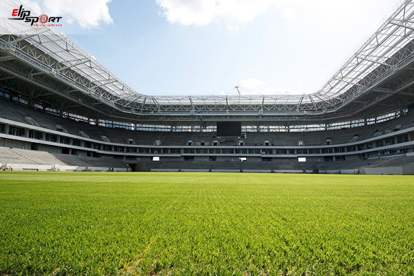 cỏ ở sân bóng đá quốc tế