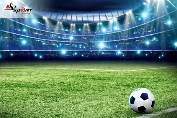 Ý Nghĩa Các Đường Kẻ Trên Sân Bóng Đá 11 Người Chuẩn FIFA