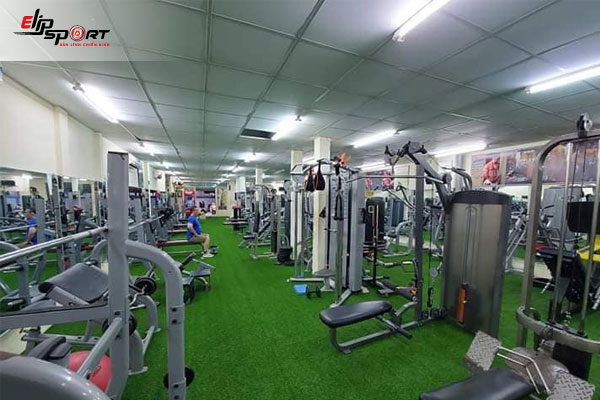 phòng tập gym Quận 10, Hồ Chí Minh