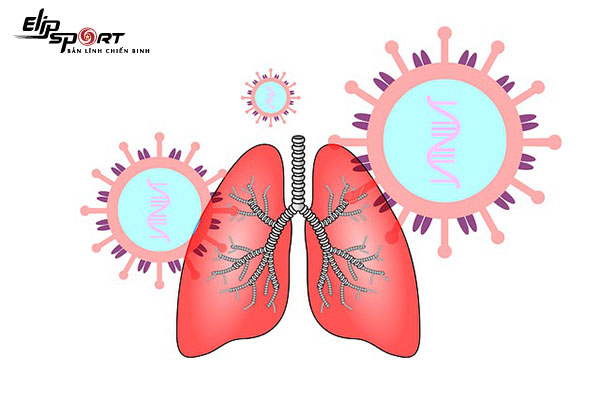 chức năng của phổi