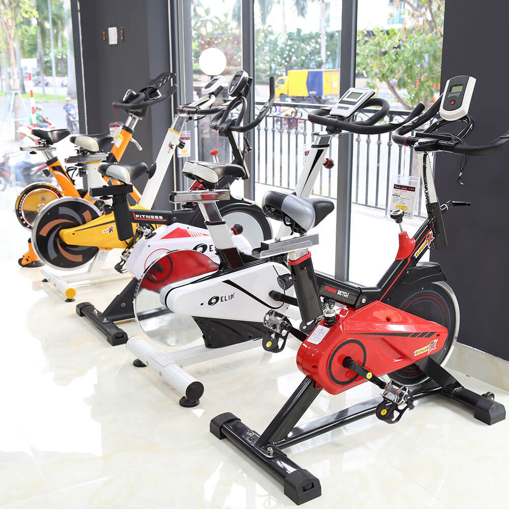 xe đạp tập thể dục Ninh Thuận