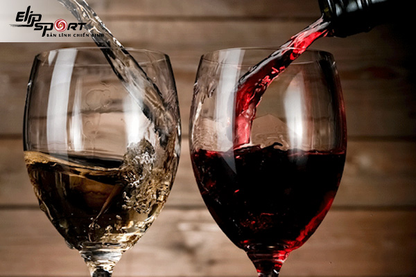 Lợi ích của rượu vang, những lưu ý khi dùng rượu vang
