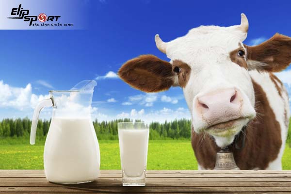 tác hại của sữa bò