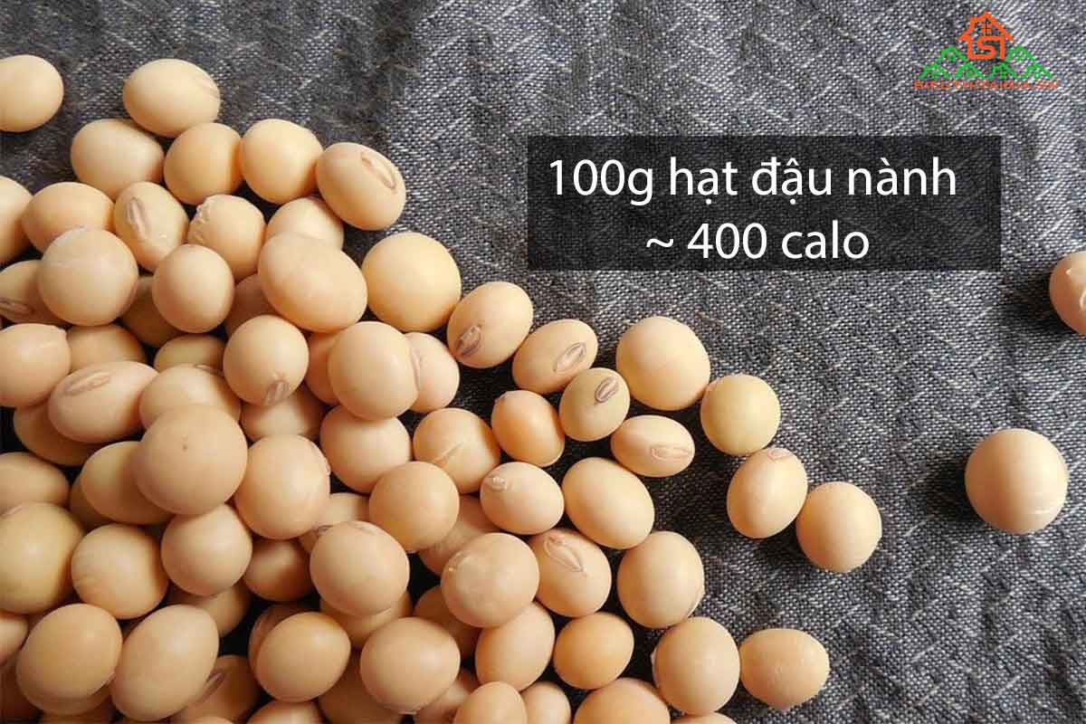 100g đậu nành chứa bao nhiêu calo