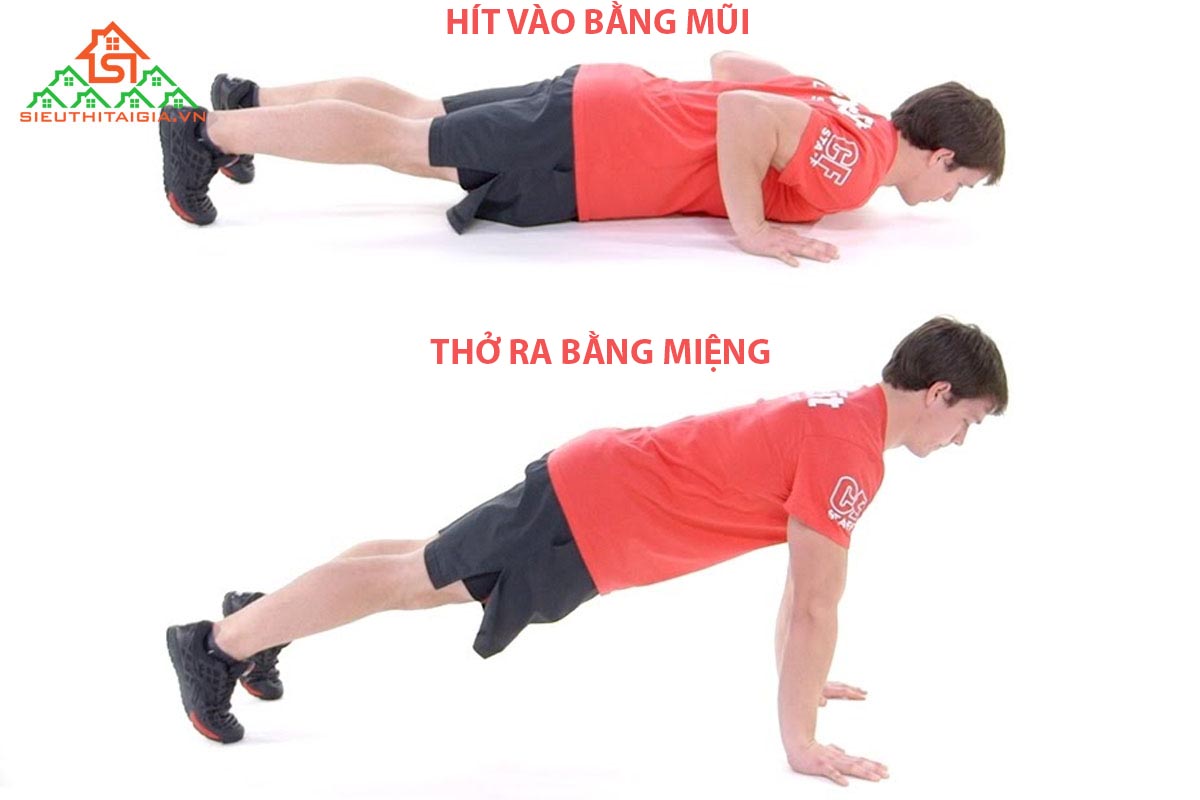 Hít thở trong hít đất