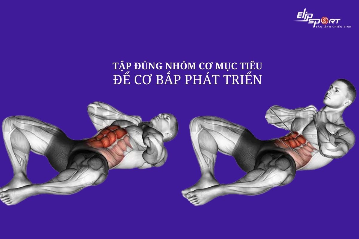 Tập đúng nhóm cơ mục tiêu để cơ bắp phát triển