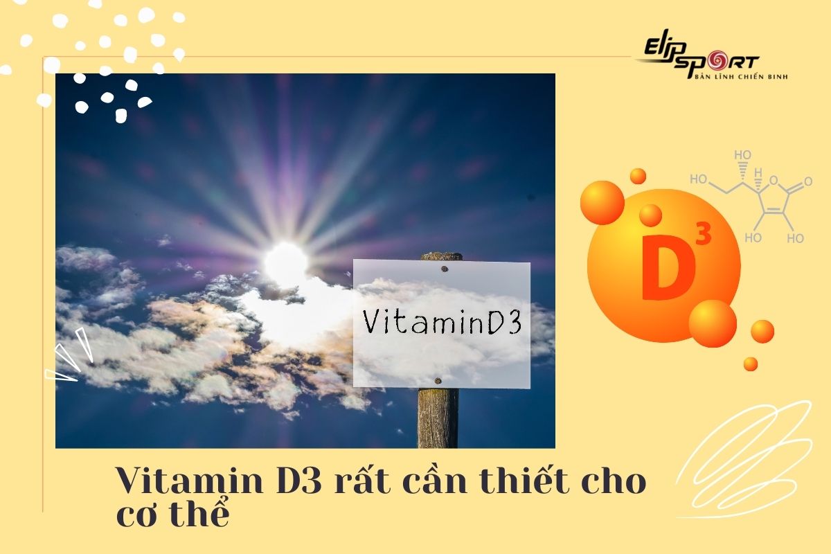 thực phẩm giàu vitamin D3