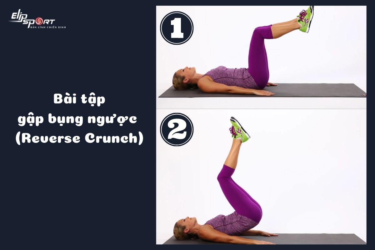 Bài tập Gập bụng ngược
