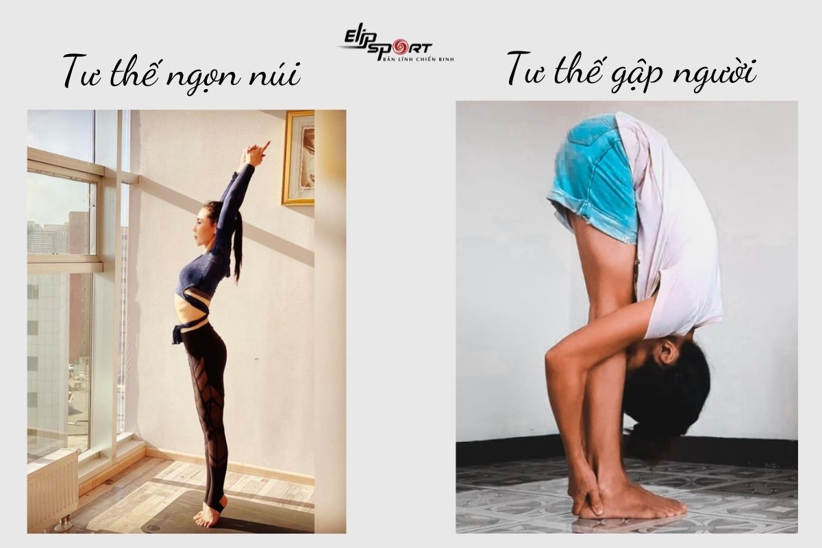 cách tập yoga tăng chiều cao
