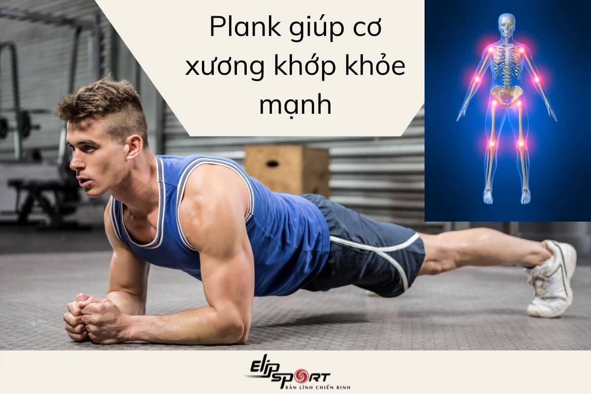 tác dụng của plank