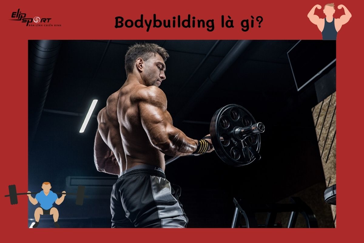 Bodybuilding là gì