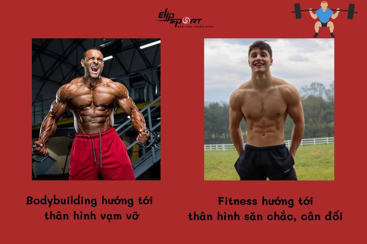Bodybuilding là gì