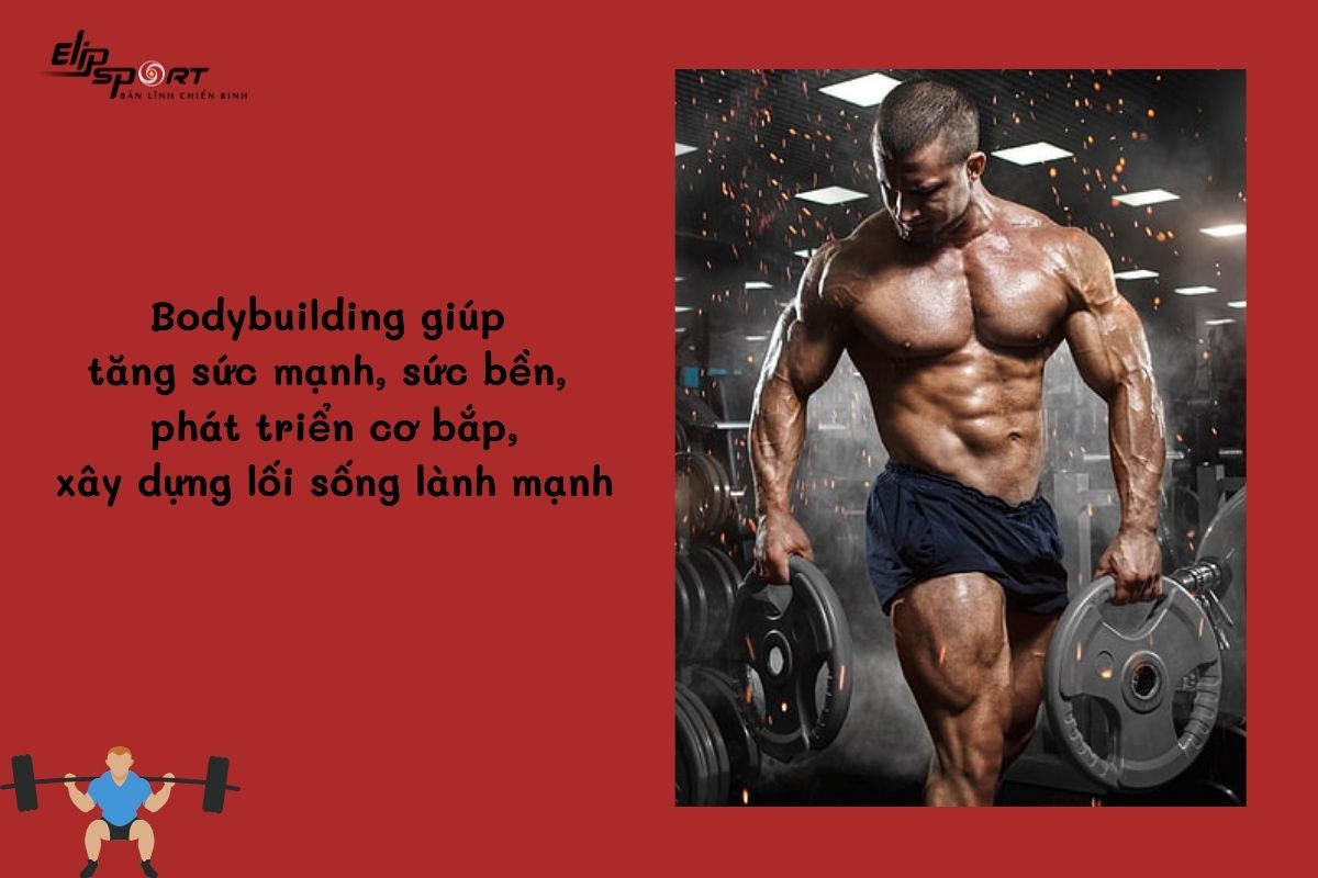 tác dụng của Bodybuilding là gì