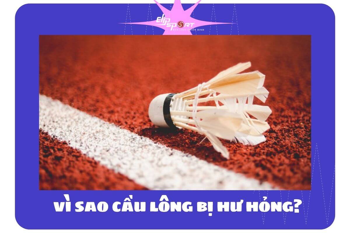 cầu lông 3 sao