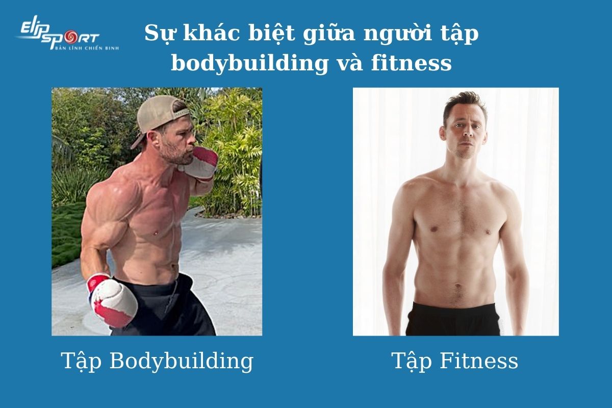 Sự khác nhau giữa bodybuilding và fitness là gì
