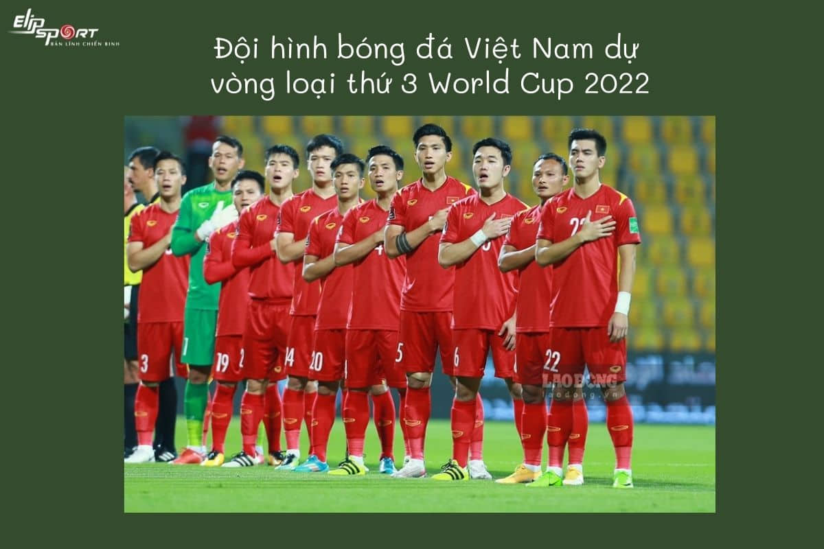 đội hình bóng đá Việt Nam dự World Cup