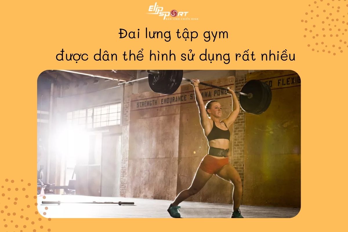 đai lưng tập gym