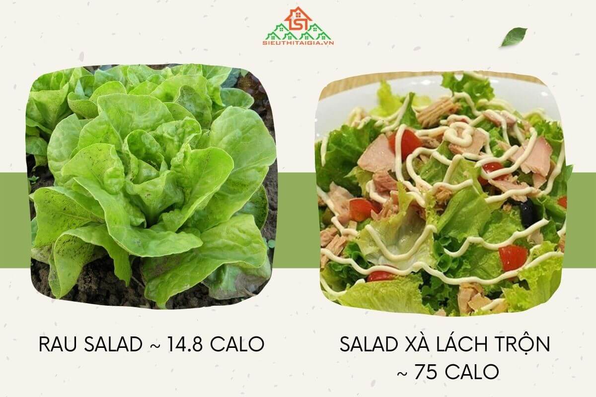 rau salad bao nhiêu calo