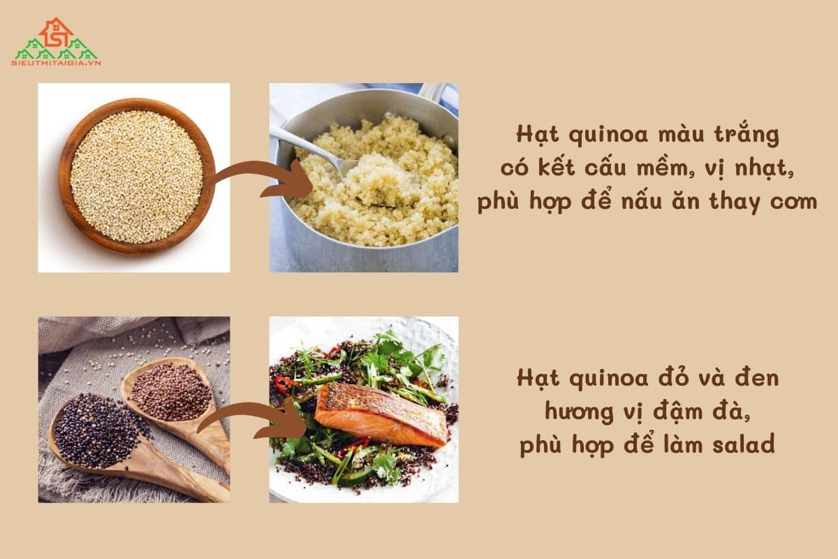 Hạt quinoa màu nào tốt