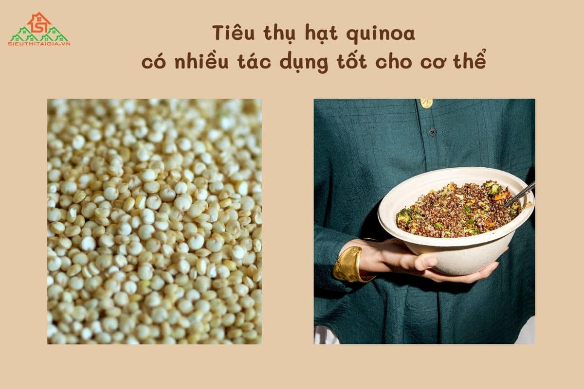 Hạt quinoa có tác dụng gì