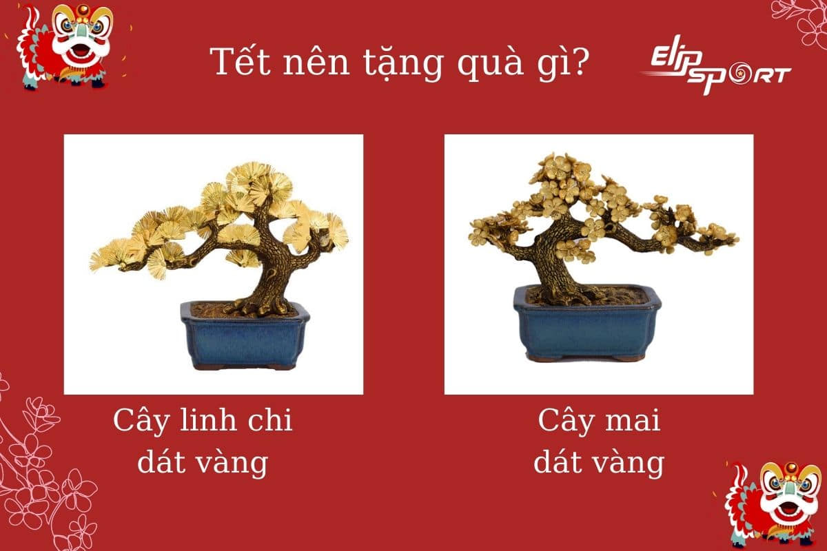 tết nên tặng quà gì