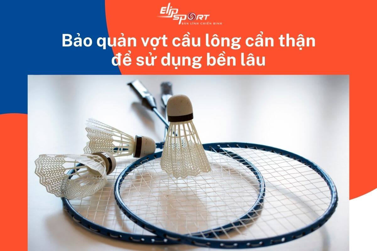 vợt cầu lông giá rẻ cho học sinh