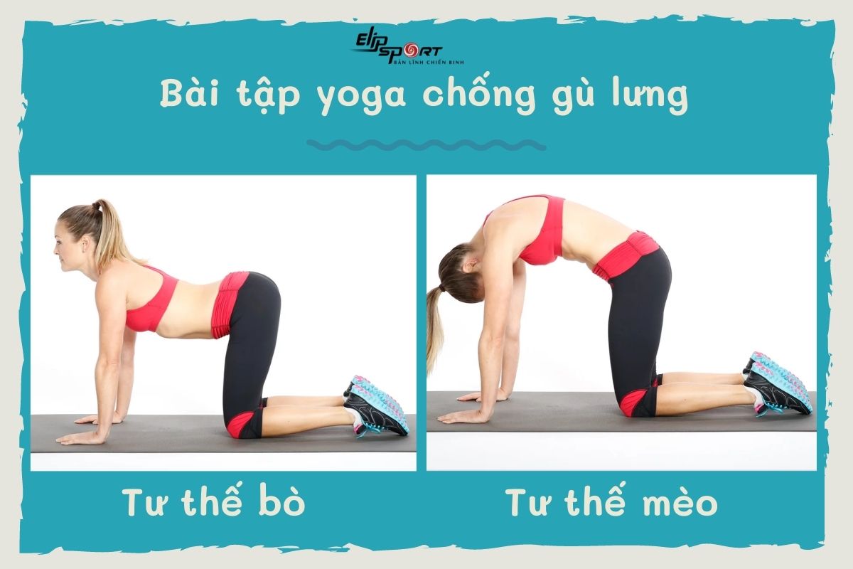 Yoga chống gù lưng