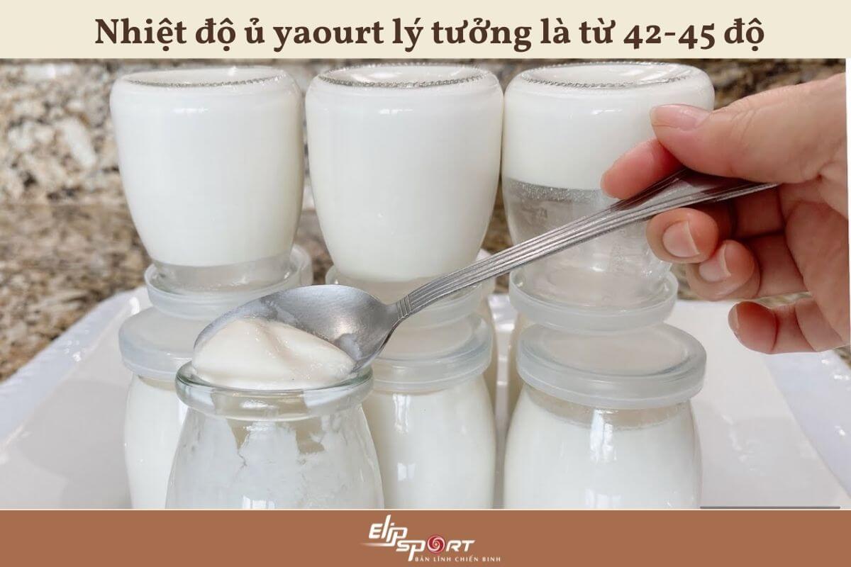  làm yaourt bằng sữa đặc