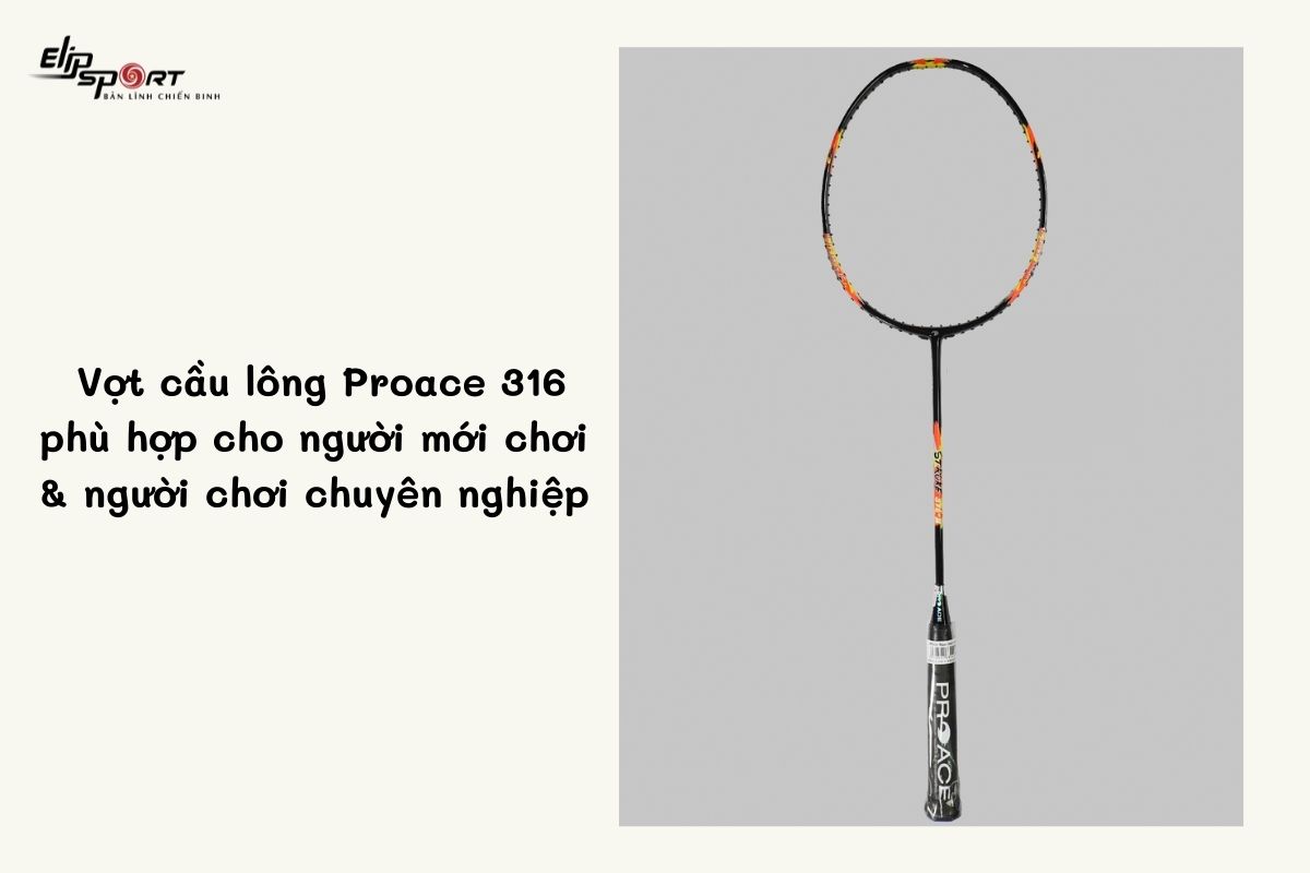 vợt cầu lông proace 316