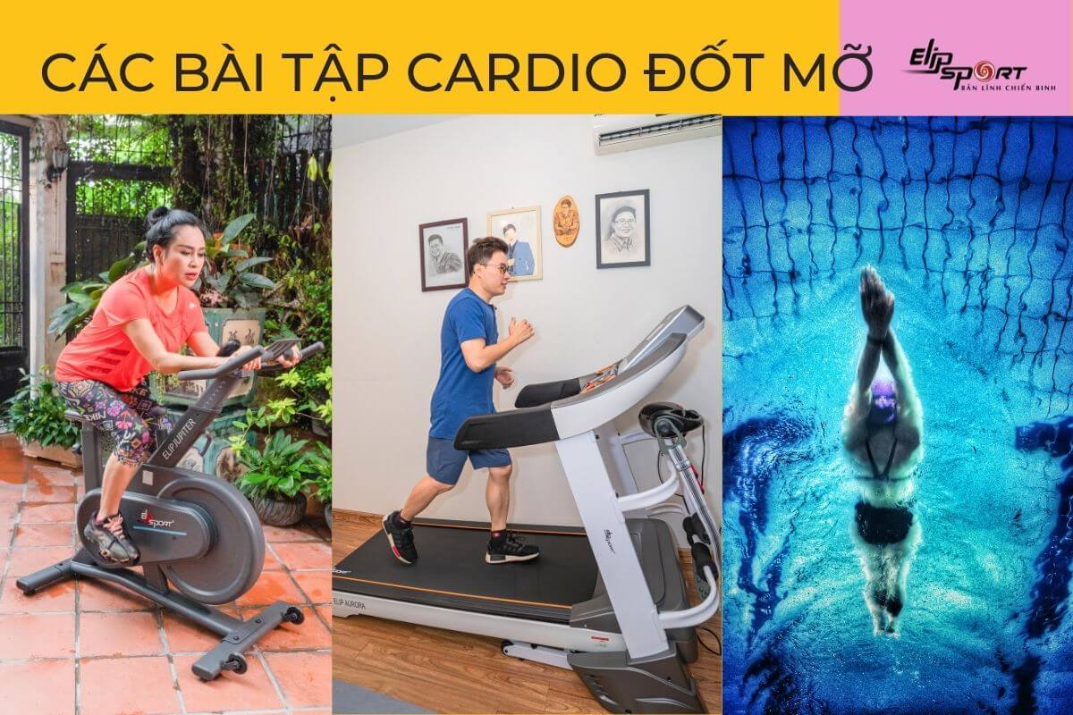 các bài tập đốt mỡ