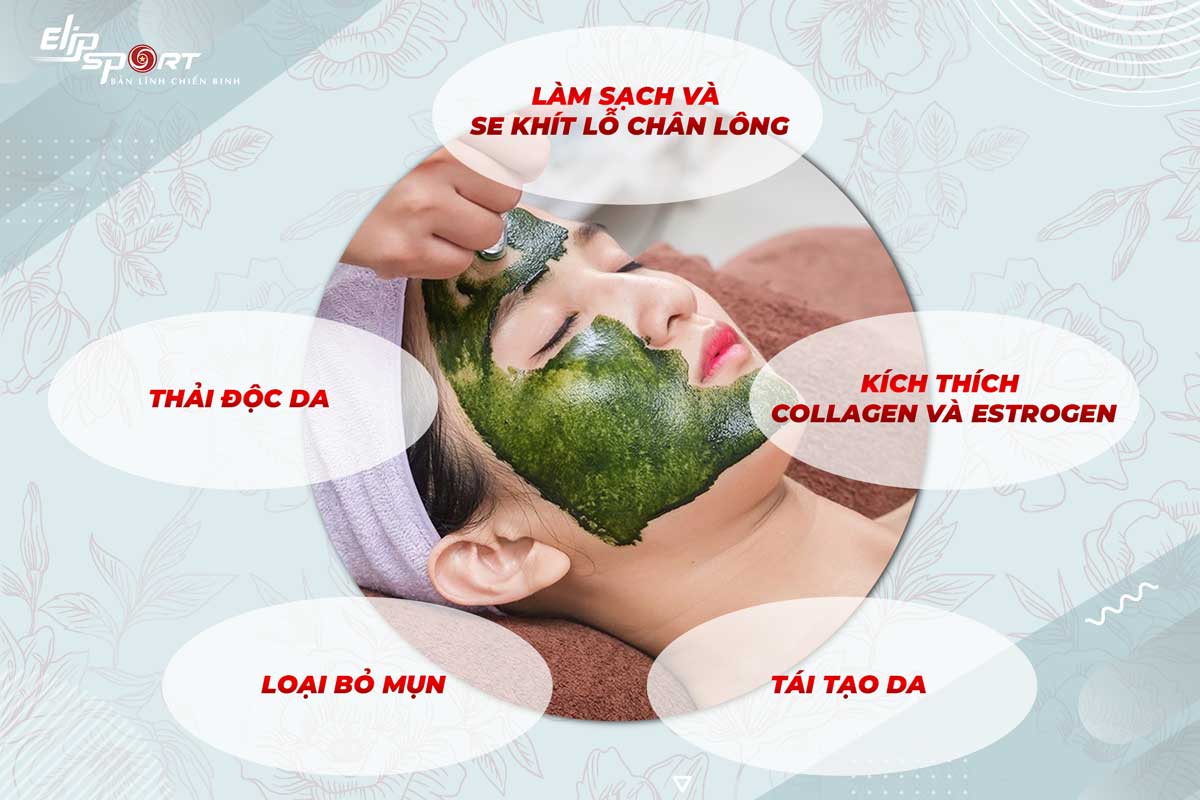 vi kim tảo biển bao lâu làm 1 lần