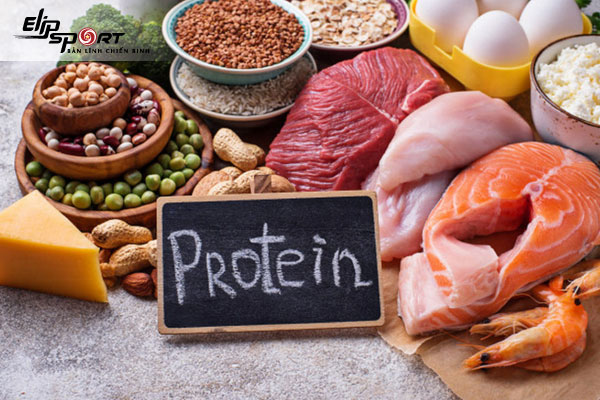 lượng protein cần cho người tập gym