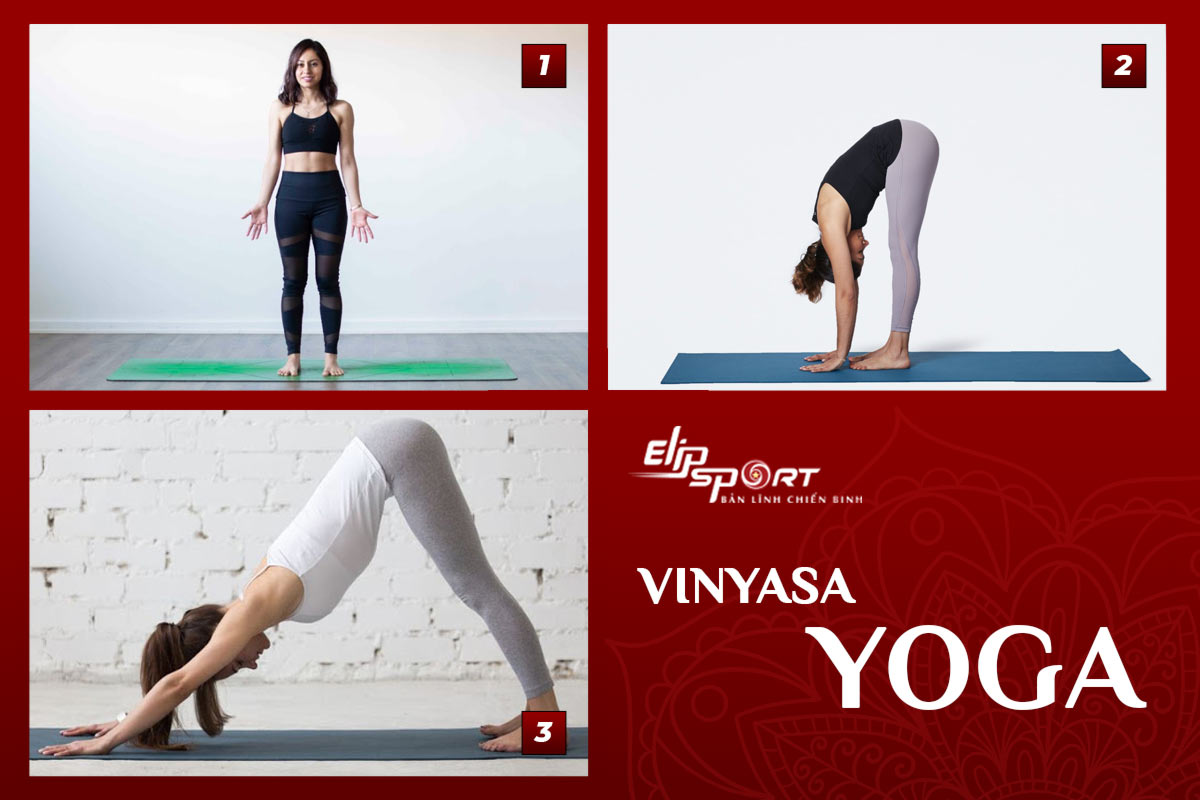 Vinyasa yoga là gì