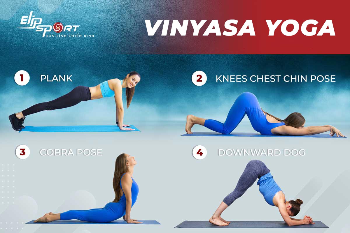 Vinyasa yoga là gì