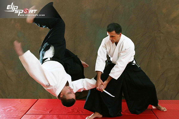 võ Aikido là gì