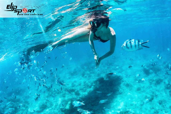 Scuba diving là gì? Snorkeling là gì? Chúng có gì khác nhau?