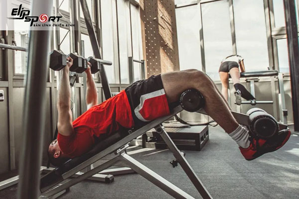 Bench press là gì