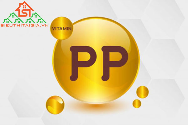 vitamin PP là gì