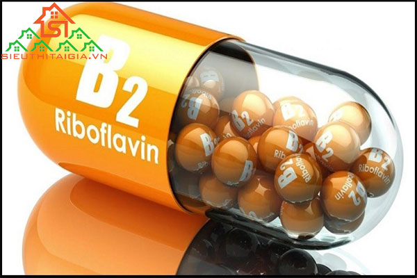 vitamin B2 có trong thực phẩm nào
