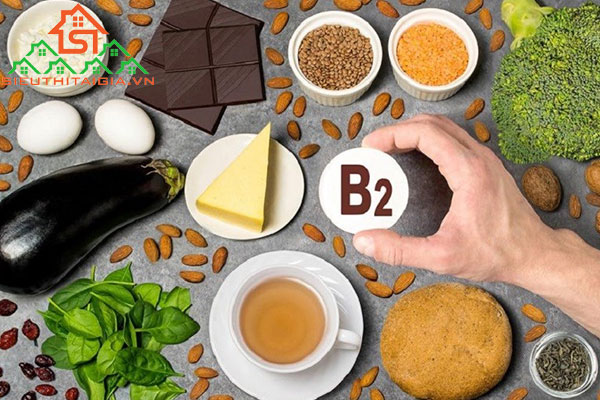 vitamin B2 có trong thực phẩm nào