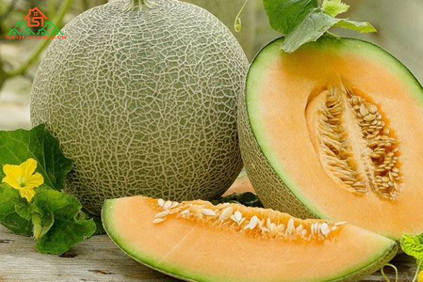 Say nắng là gì? Triệu chứng cho thấy bạn đang say nắng