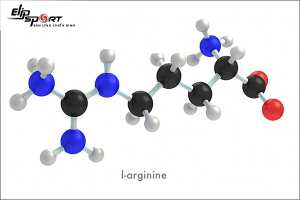 L-arginine là gì